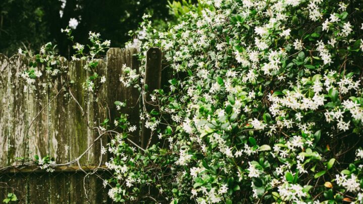Comment installer une clôture de jardin facilement